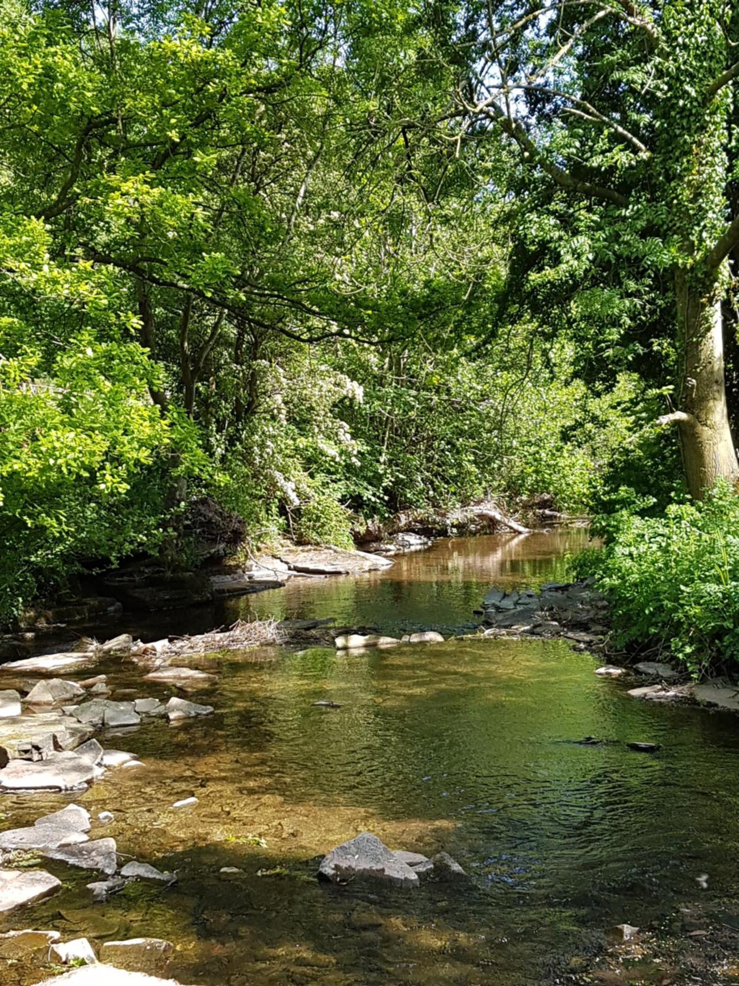 River Cottage@Cwm Mill - Riverside Family Holidays In The Black Mountains Херефорд Экстерьер фото